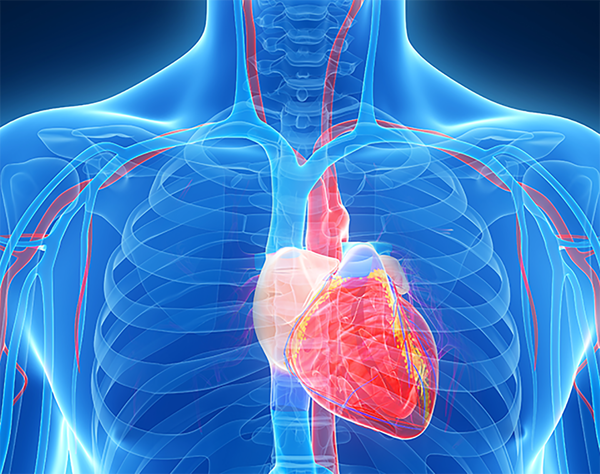 순환기내과 소개