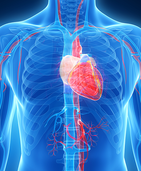 순환기내과 소개